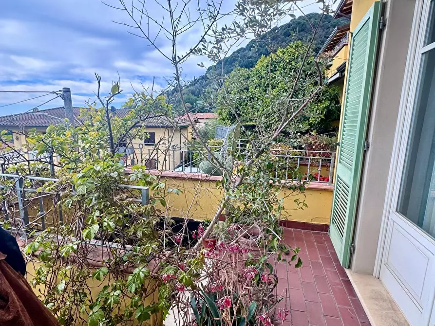 Immagine 3 di Villetta a schiera in vendita  a Massa