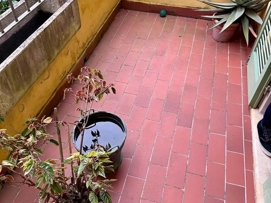 Immagine 20 di Villetta a schiera in vendita  a Massa