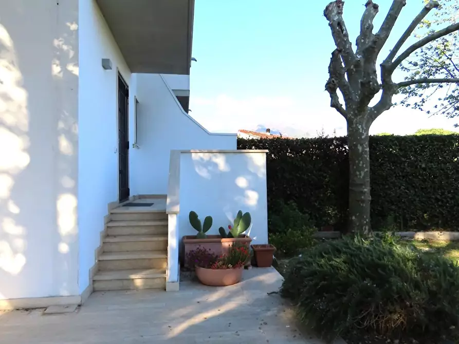 Immagine 11 di Casa trifamiliare in affitto  a Massa