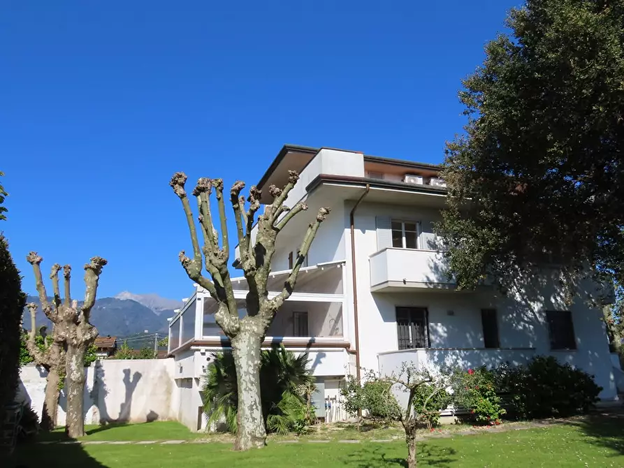 Immagine 5 di Casa trifamiliare in affitto  a Massa