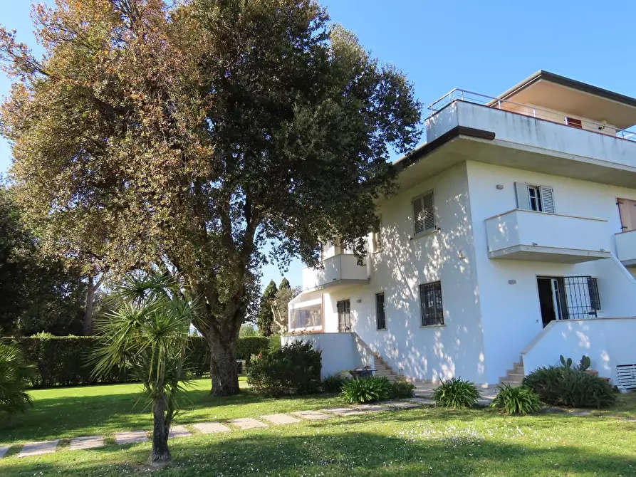 Immagine 3 di Casa trifamiliare in affitto  a Massa