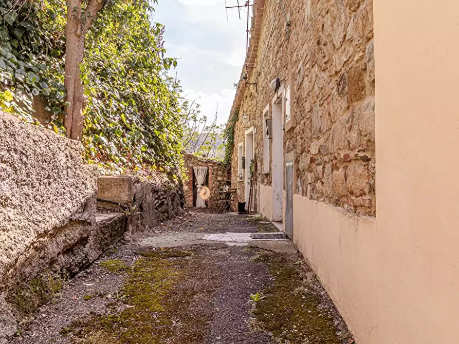 Immagine 4 di Appartamento in vendita  a Pomarance