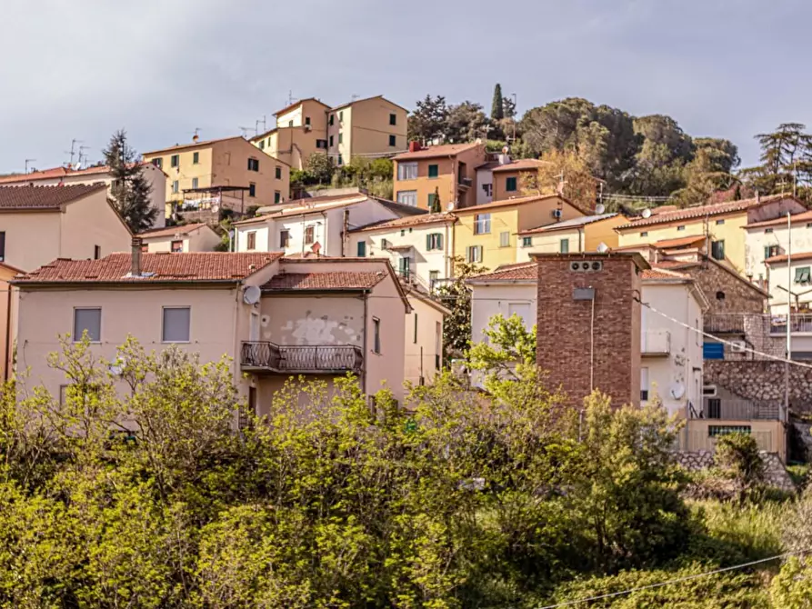 Immagine 53 di Appartamento in vendita  a Pomarance