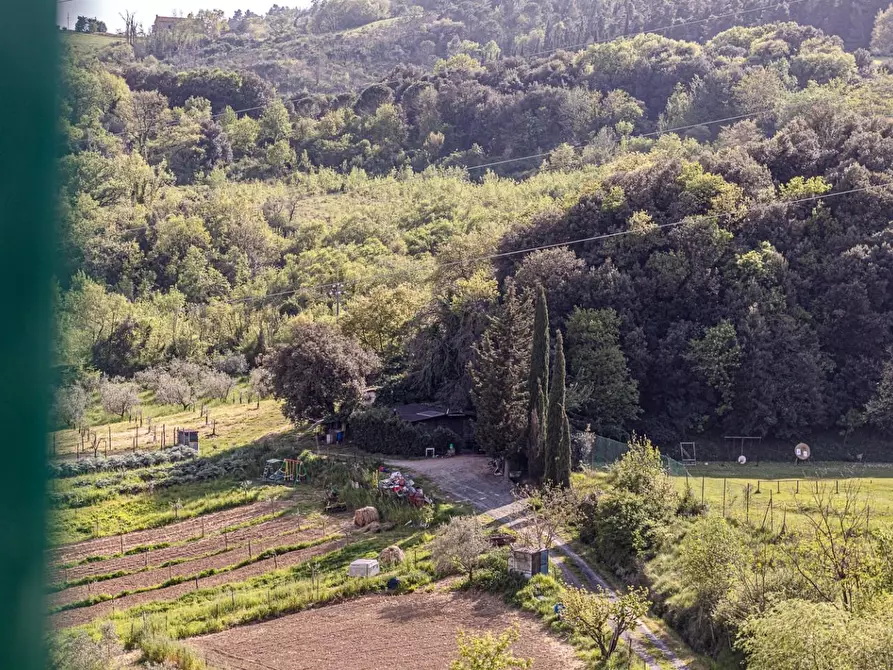 Immagine 37 di Appartamento in vendita  a Pomarance