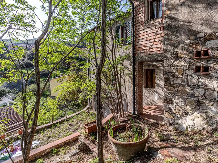 Immagine 54 di Appartamento in vendita  a Pomarance