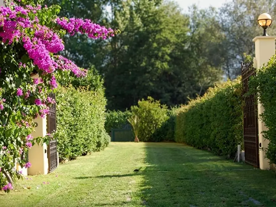 Immagine 13 di Villa in affitto  a Massa