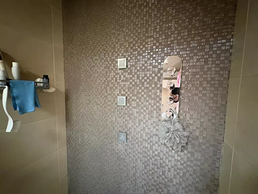 Immagine 46 di Mansarda in vendita  a San Giuliano Terme