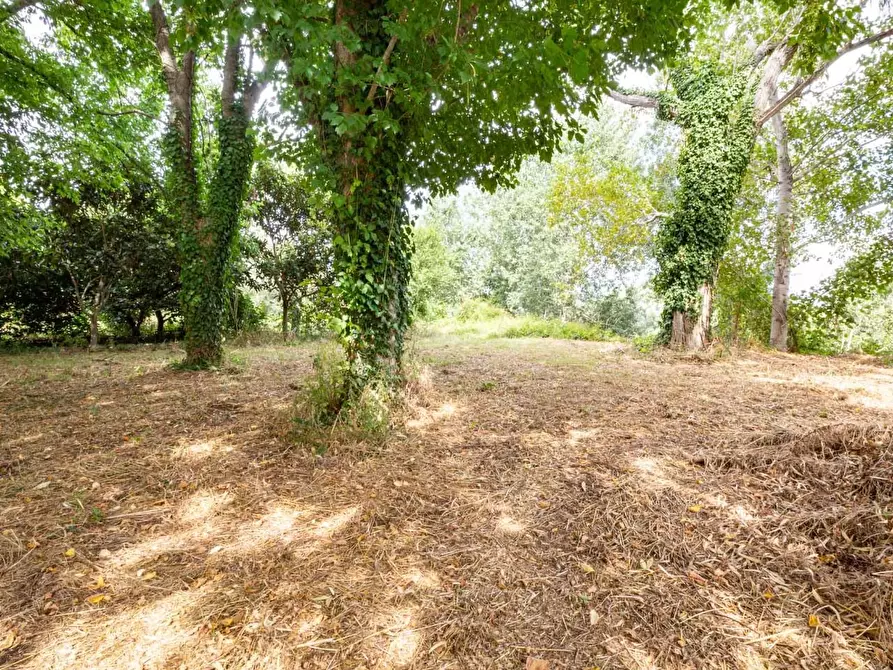 Immagine 41 di Villa in vendita  a San Giuliano Terme