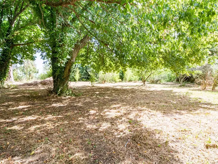 Immagine 37 di Villa in vendita  a San Giuliano Terme