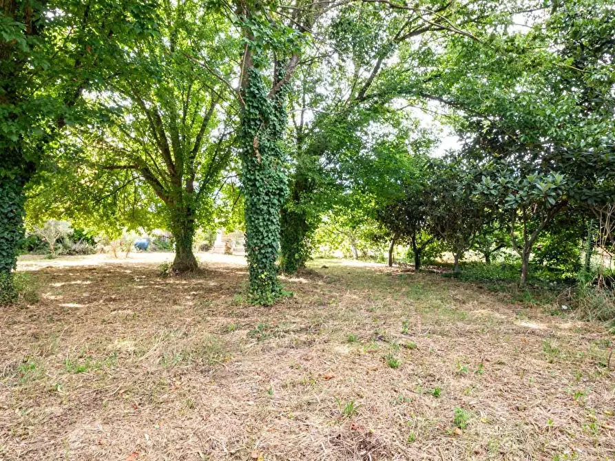 Immagine 39 di Villa in vendita  a San Giuliano Terme