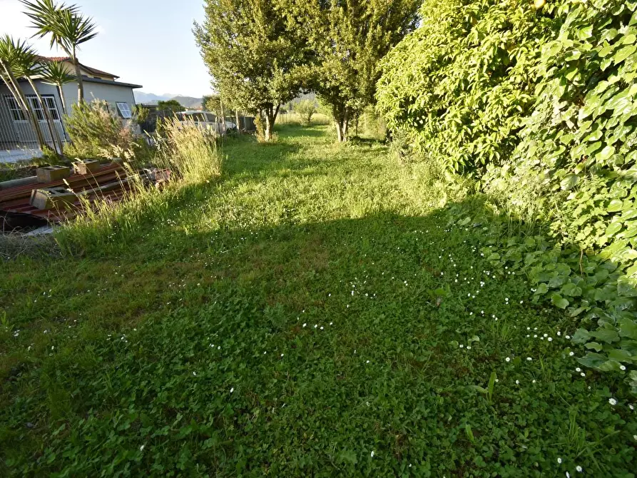 Immagine 33 di Terratetto in vendita  a Vecchiano