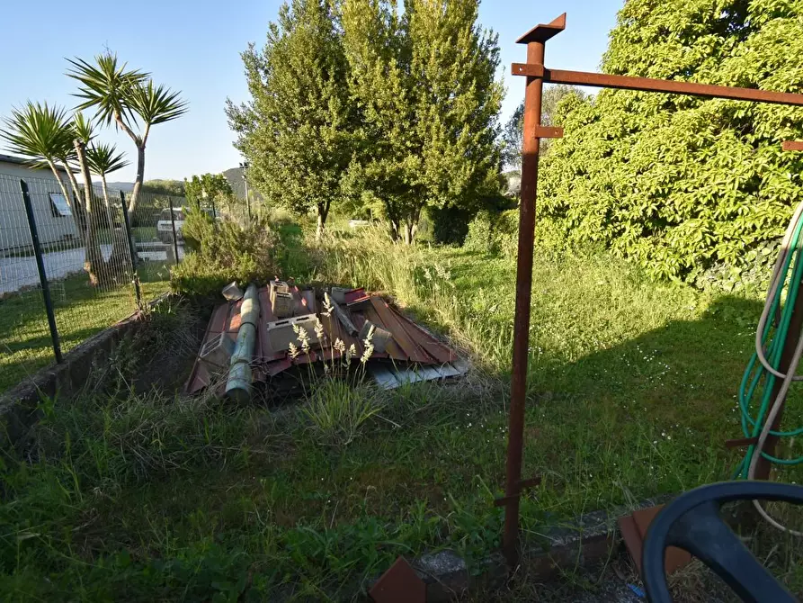 Immagine 34 di Terratetto in vendita  a Vecchiano