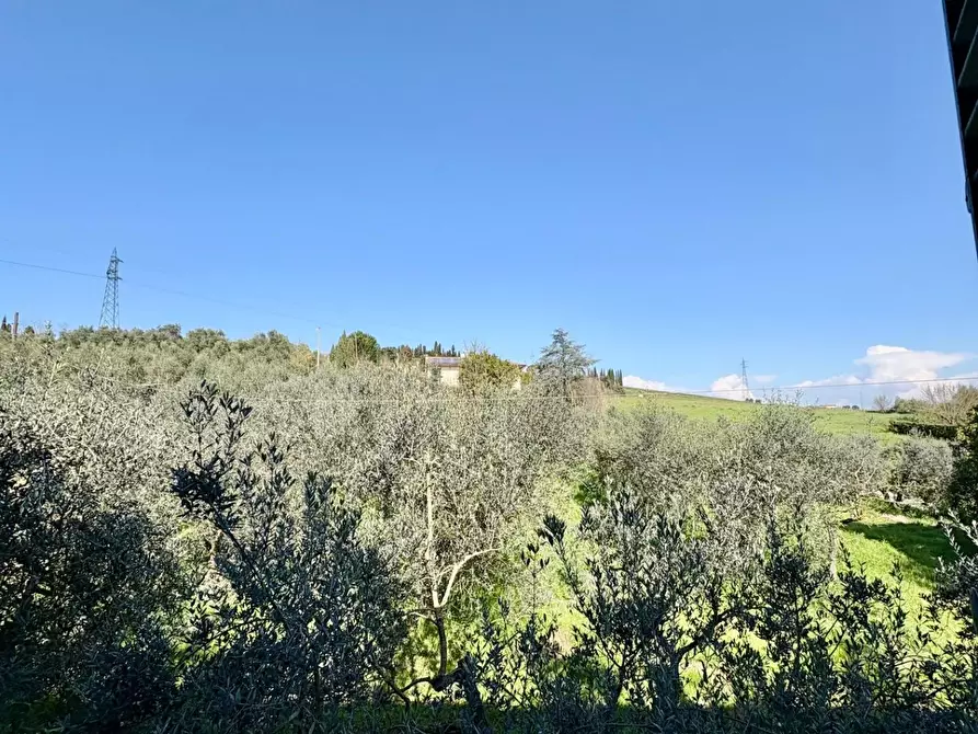 Immagine 25 di Terratetto in vendita  a Cerreto Guidi