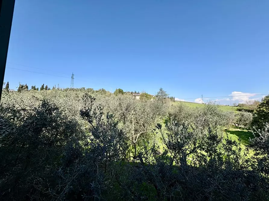 Immagine 26 di Terratetto in vendita  a Cerreto Guidi
