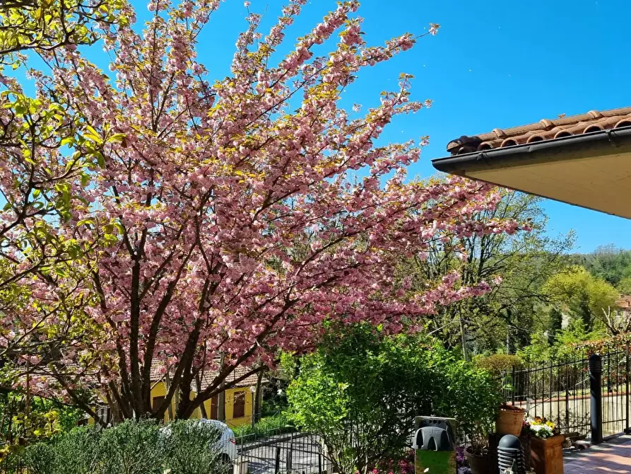 Immagine 13 di Casa bifamiliare in vendita  a Barberino Di Mugello