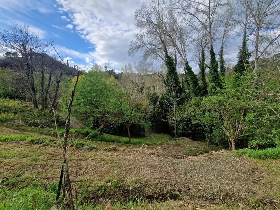 Immagine 7 di Terreno agricolo in vendita  a Casciana Terme Lari