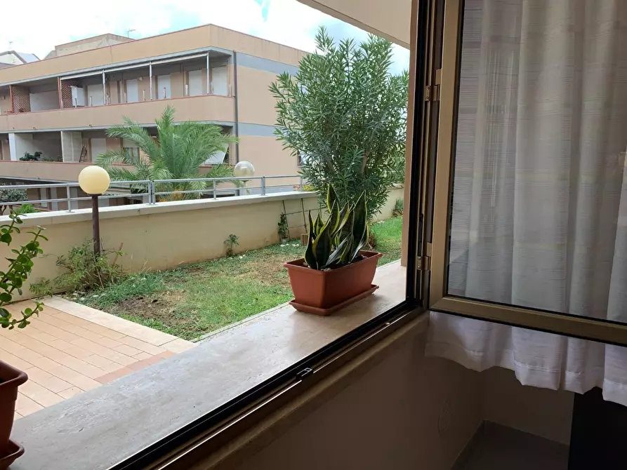 Immagine 4 di Loft/Open space in vendita  a San Vincenzo