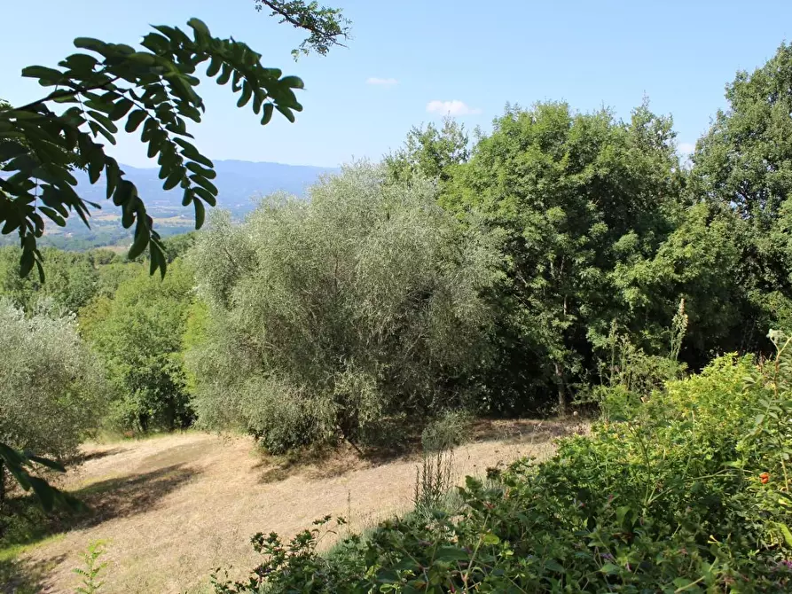 Immagine 14 di Villa in vendita  a Vicchio