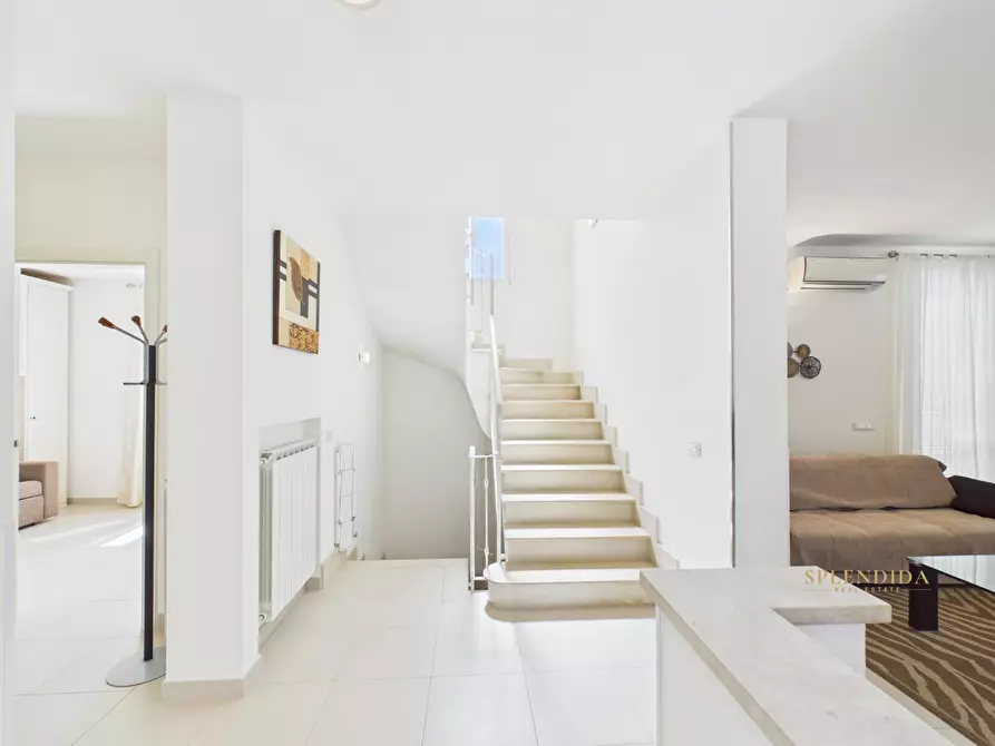 Immagine 11 di Villa in affitto  a Forte Dei Marmi