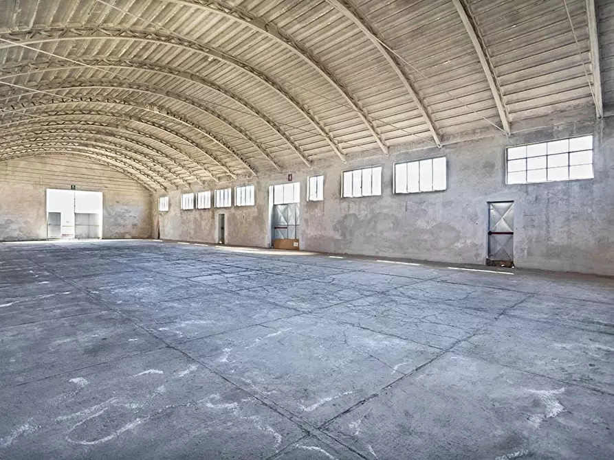 Immagine 12 di Attività artigianale in vendita  a Ponsacco