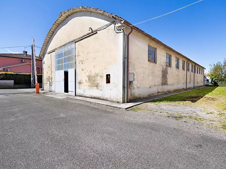 Immagine 9 di Attività artigianale in vendita  a Ponsacco