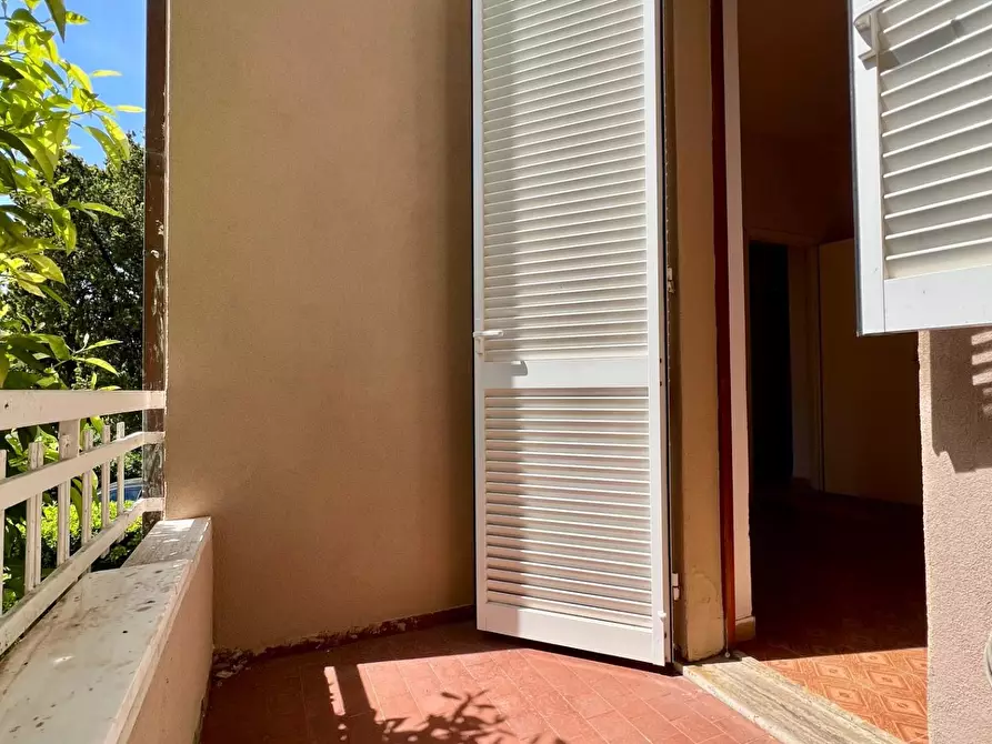 Immagine 18 di Appartamento in vendita  a Massa
