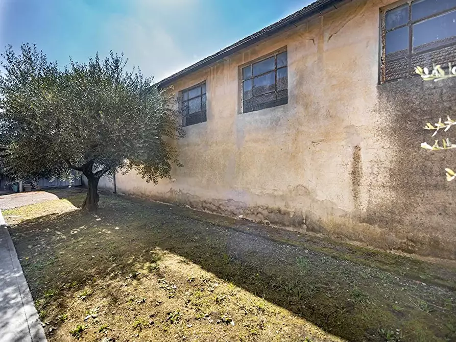 Immagine 18 di Attività artigianale in affitto  a Ponsacco