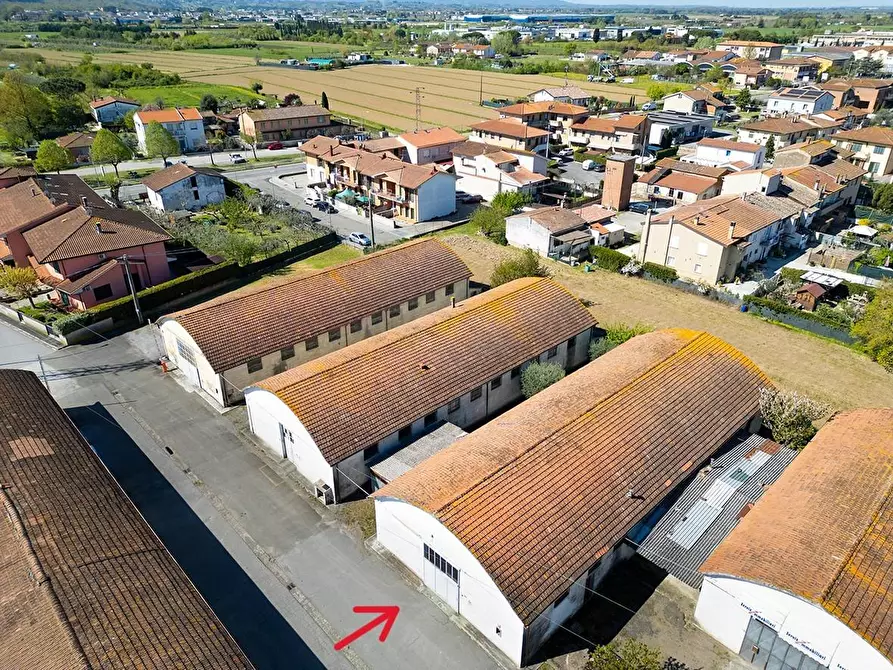 Immagine 4 di Attività artigianale in affitto  a Ponsacco