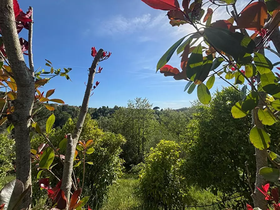 Immagine 15 di Villa in vendita  a Palaia