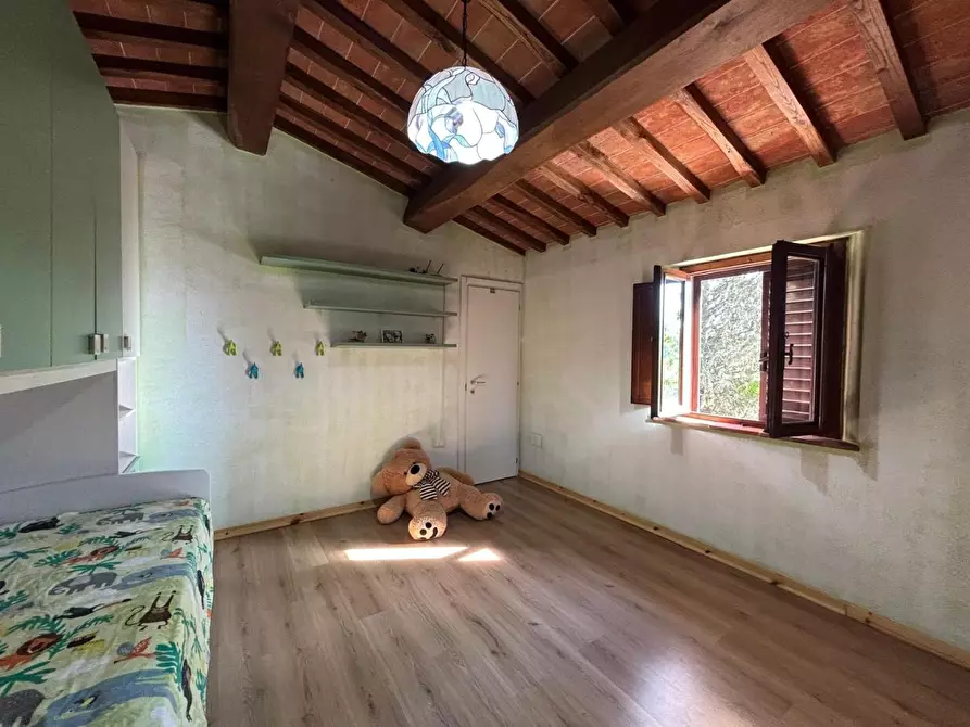 Immagine 45 di Villa in vendita  a Palaia