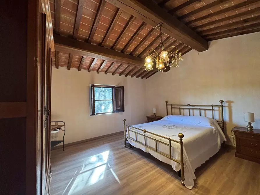 Immagine 47 di Villa in vendita  a Palaia