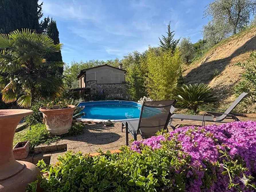 Immagine 6 di Villa in vendita  a Palaia