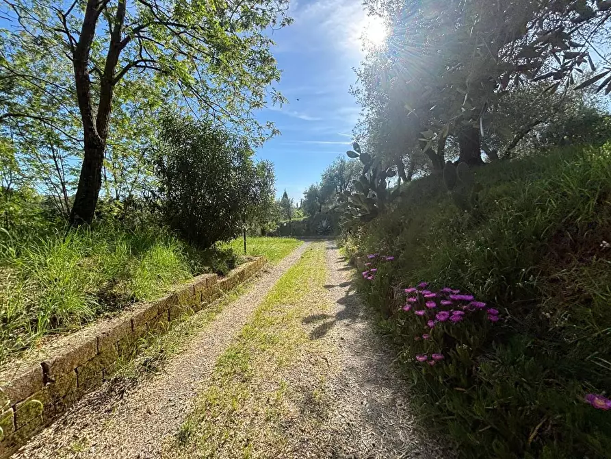 Immagine 10 di Villa in vendita  a Palaia