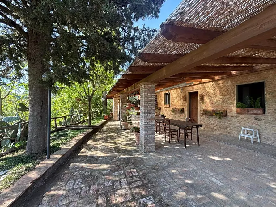 Immagine 22 di Villa in vendita  a Palaia