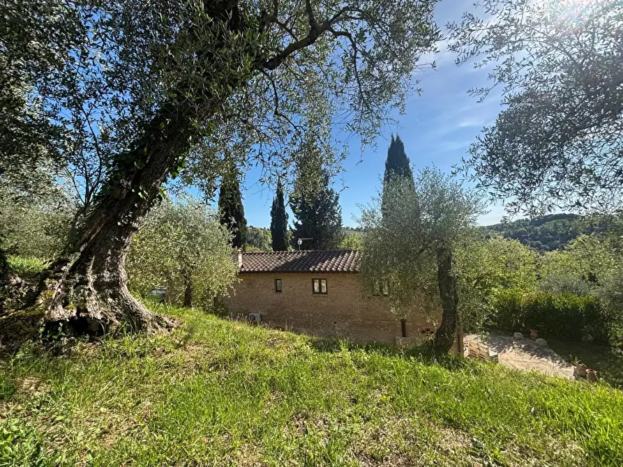 Immagine 17 di Villa in vendita  a Palaia