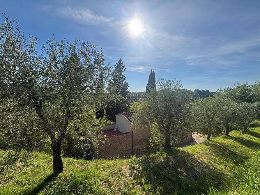 Immagine 13 di Villa in vendita  a Palaia