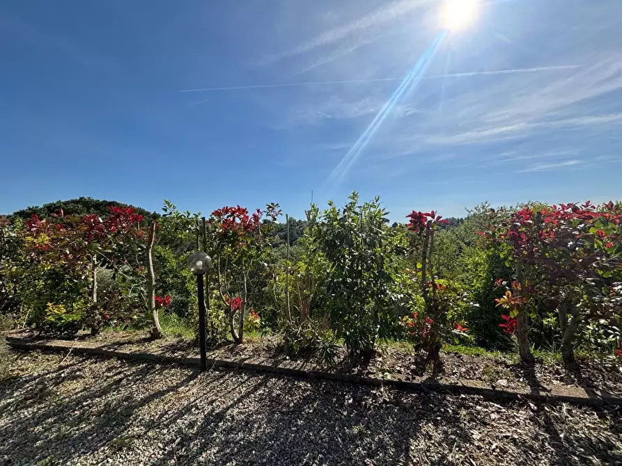 Immagine 12 di Villa in vendita  a Palaia