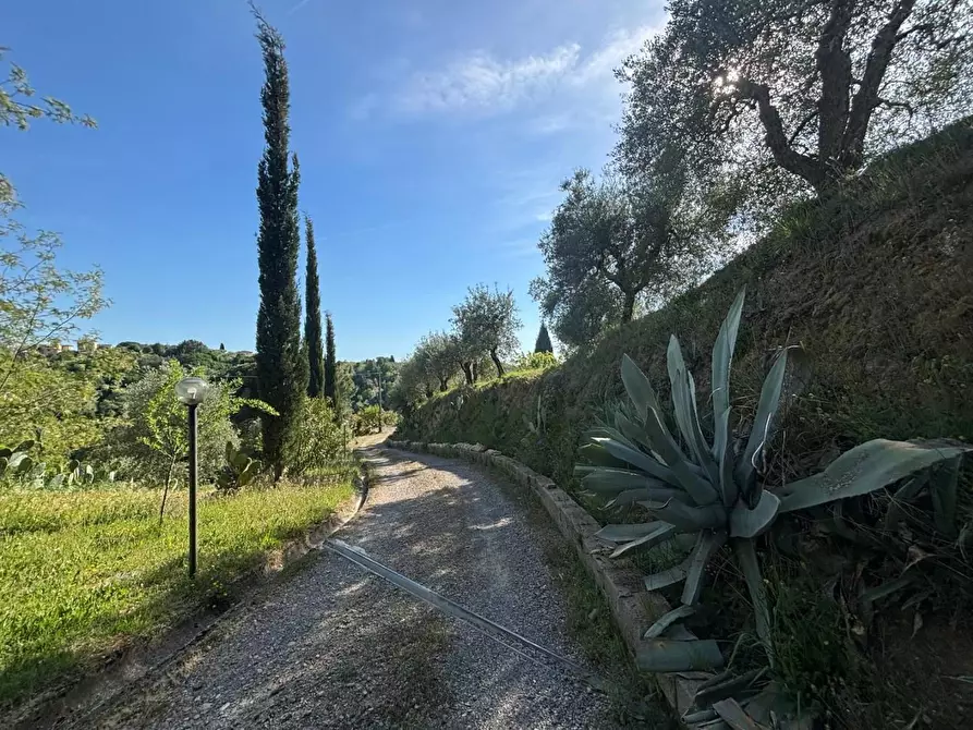 Immagine 9 di Villa in vendita  a Palaia