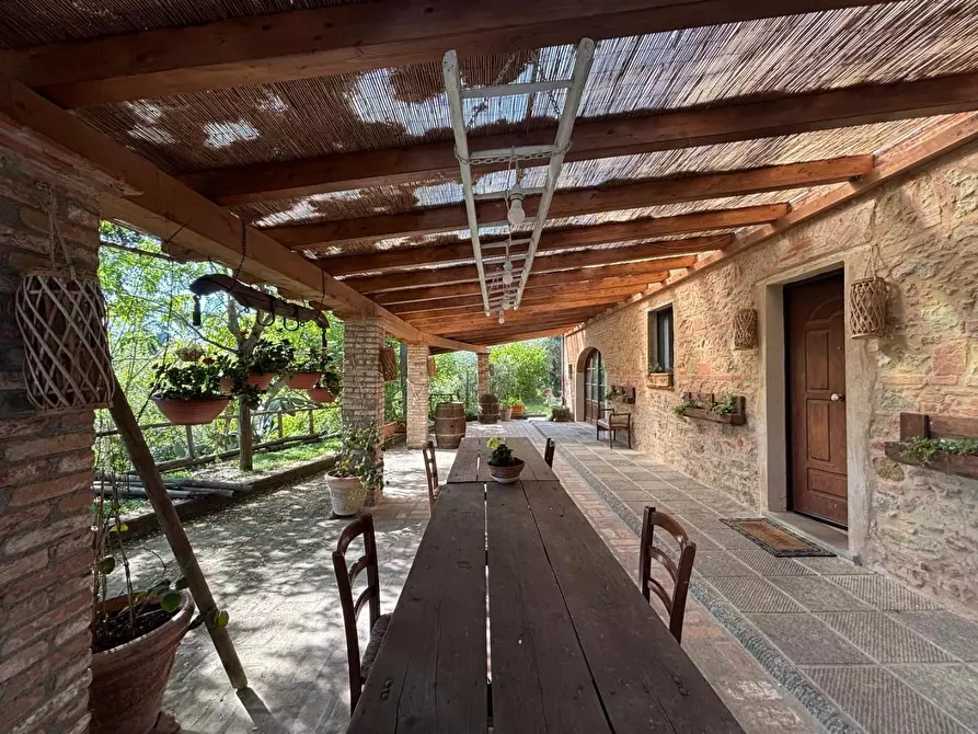 Immagine 24 di Villa in vendita  a Palaia