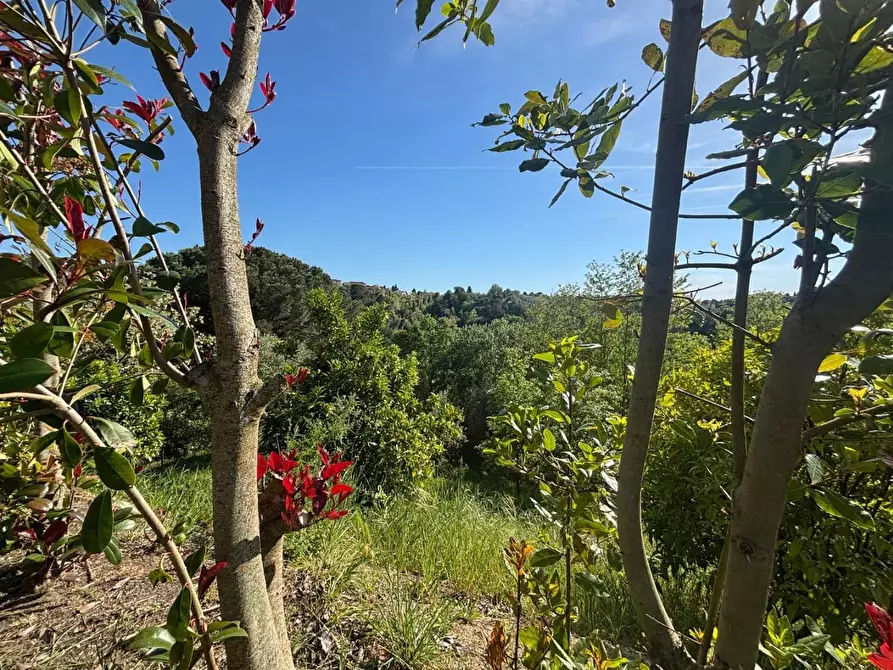 Immagine 16 di Villa in vendita  a Palaia