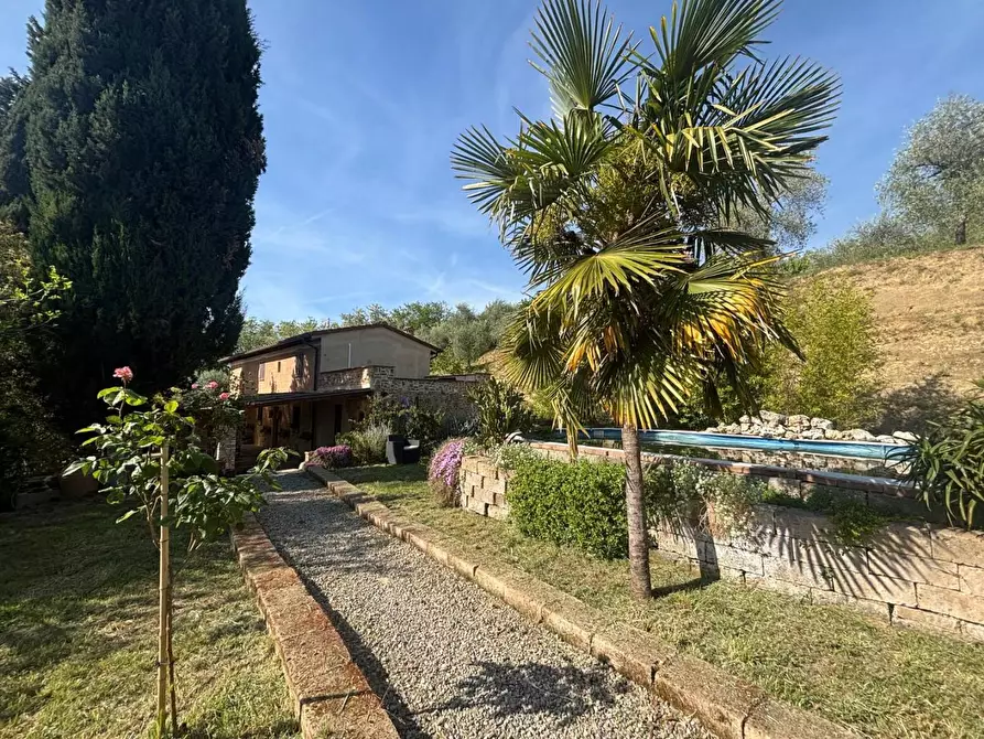 Immagine 4 di Villa in vendita  a Palaia