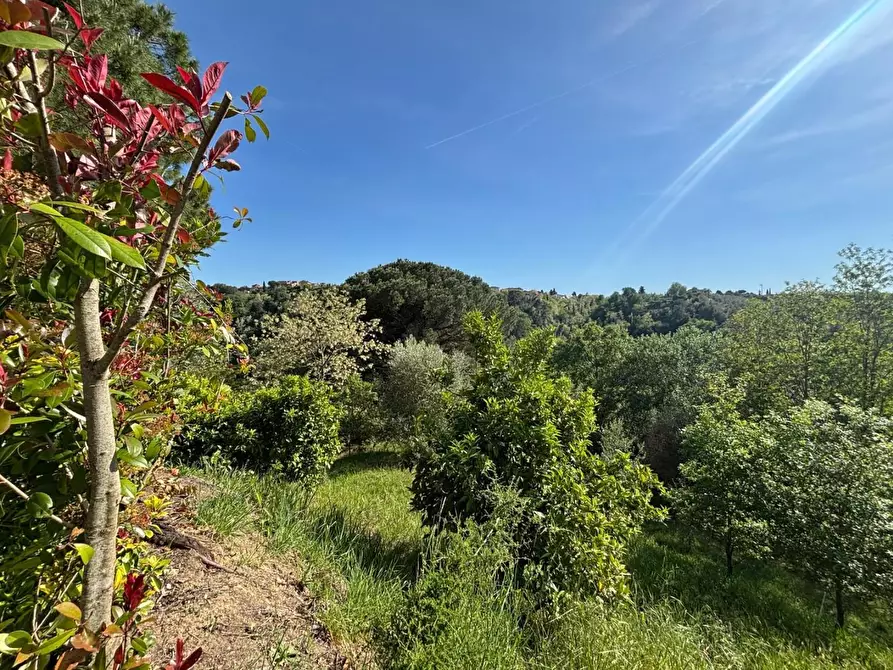 Immagine 11 di Villa in vendita  a Palaia