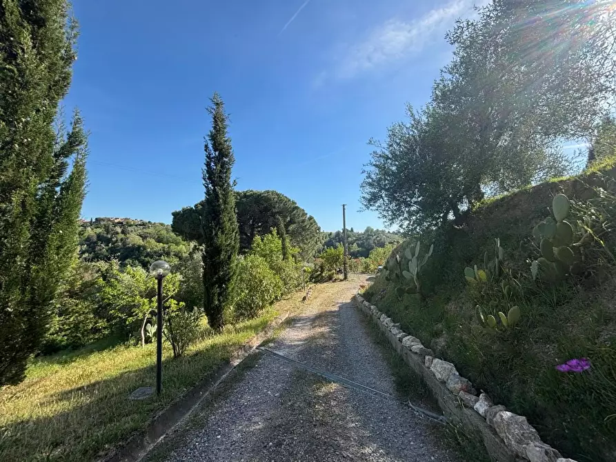 Immagine 14 di Villa in vendita  a Palaia