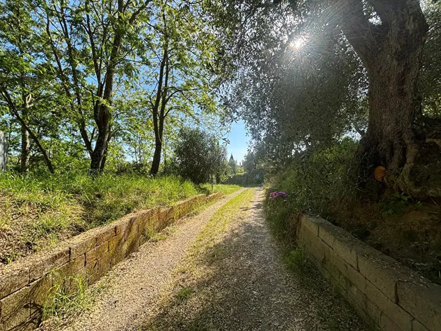 Immagine 8 di Villa in vendita  a Palaia