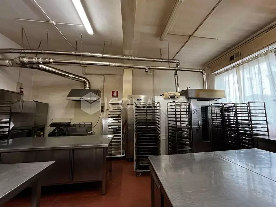 Immagine 4 di Attività artigianale in vendita  a Pontedera