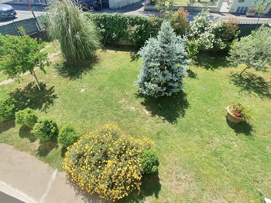 Immagine 4 di Villa in vendita  a Lucca