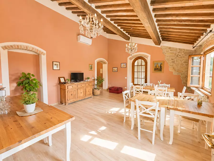 Immagine 19 di Rustico / casale in vendita  a San Giuliano Terme