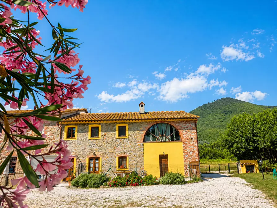 Immagine 1 di Rustico / casale in vendita  a San Giuliano Terme