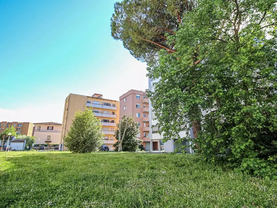Immagine 26 di Appartamento in vendita  a Pisa