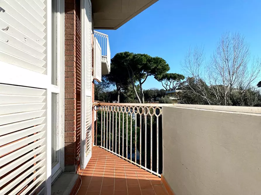 Immagine 6 di Appartamento in vendita  a Massa